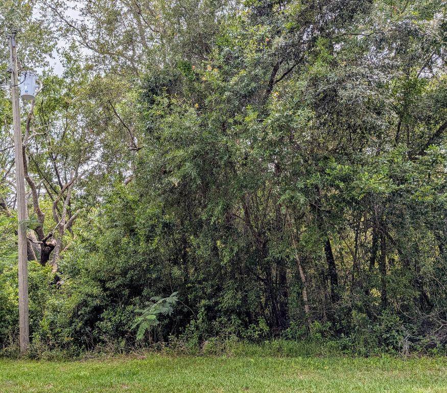 8970 Joann Drive - Photo 1