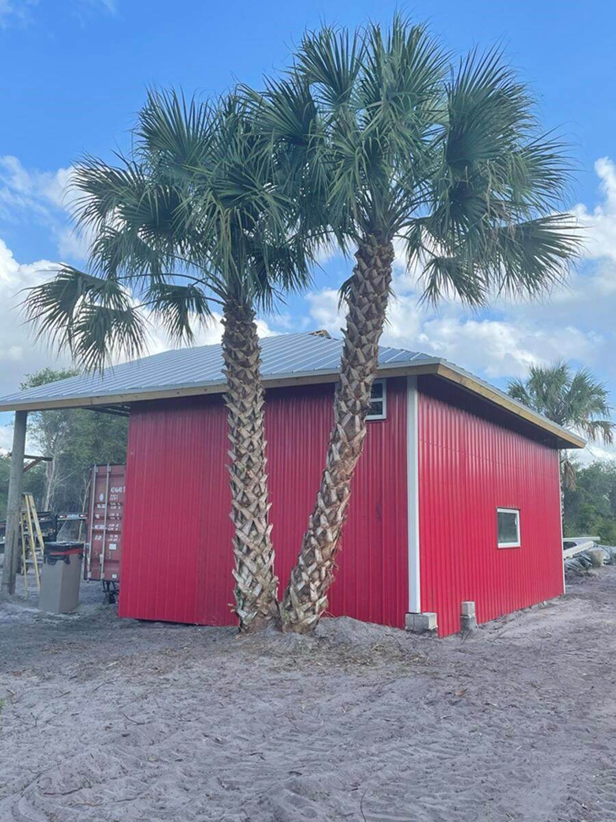 23501 Cardamine Street - Photo 1