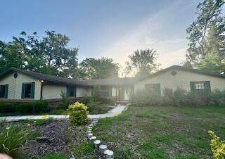 162 Palmetto Boulevard - Photo 1