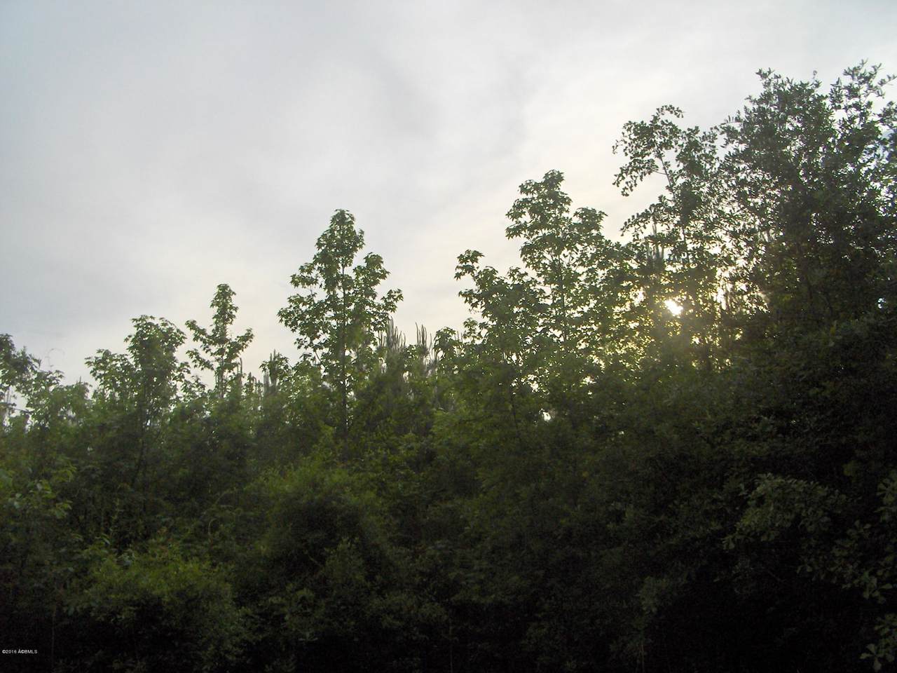 https://bt-photos.global.ssl.fastly.net/beaufortsc/1280_boomver_1_147967-2.jpg