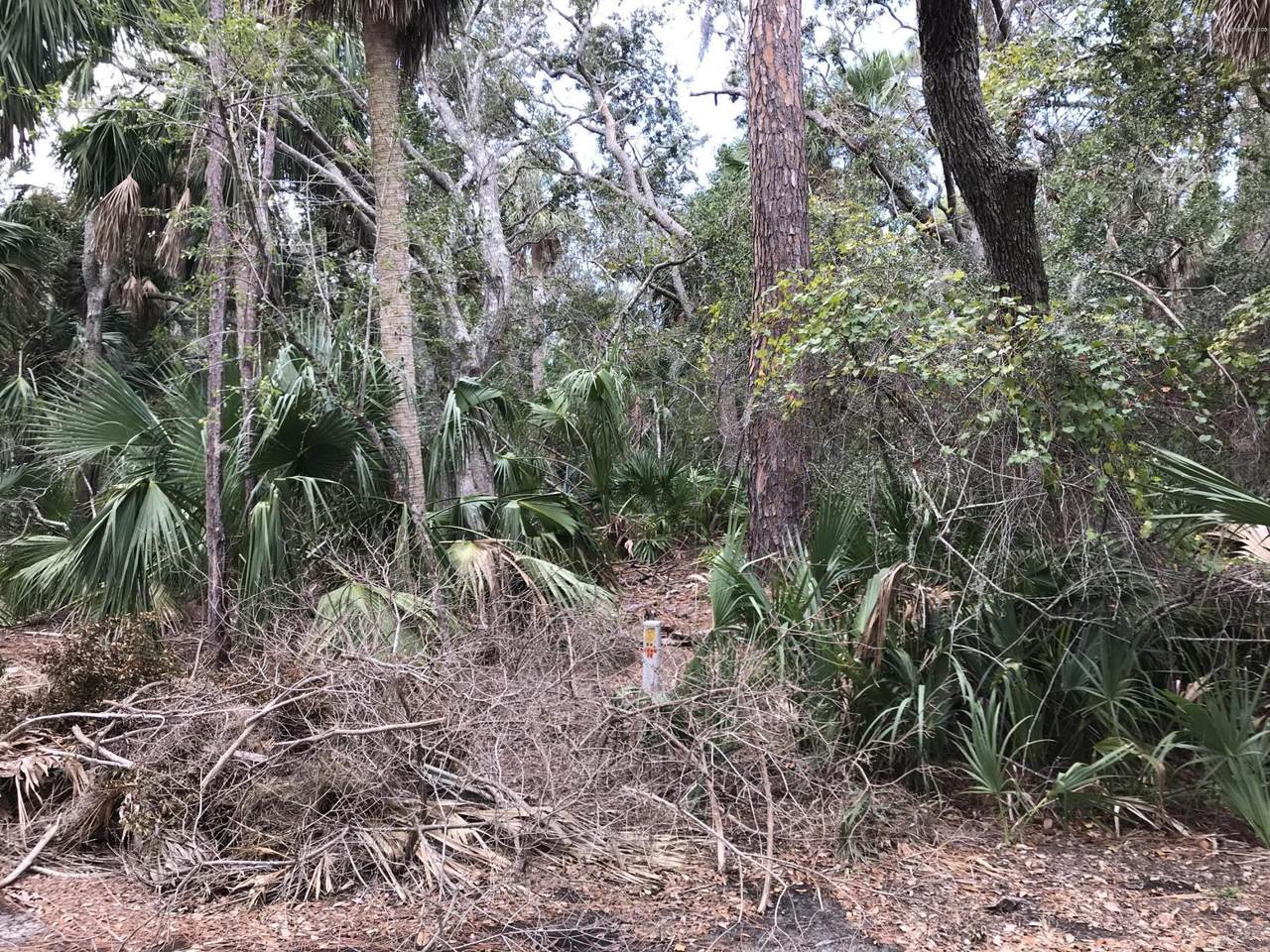 132 Sand Piper Run - Photo 1