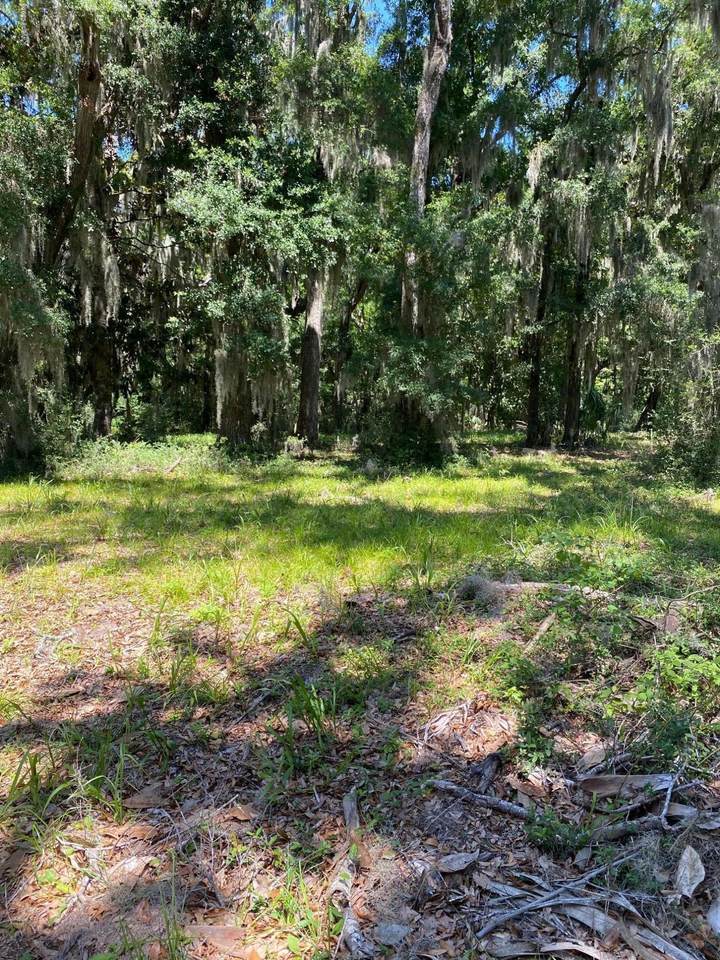 10 Long Pond Drive - Photo 1