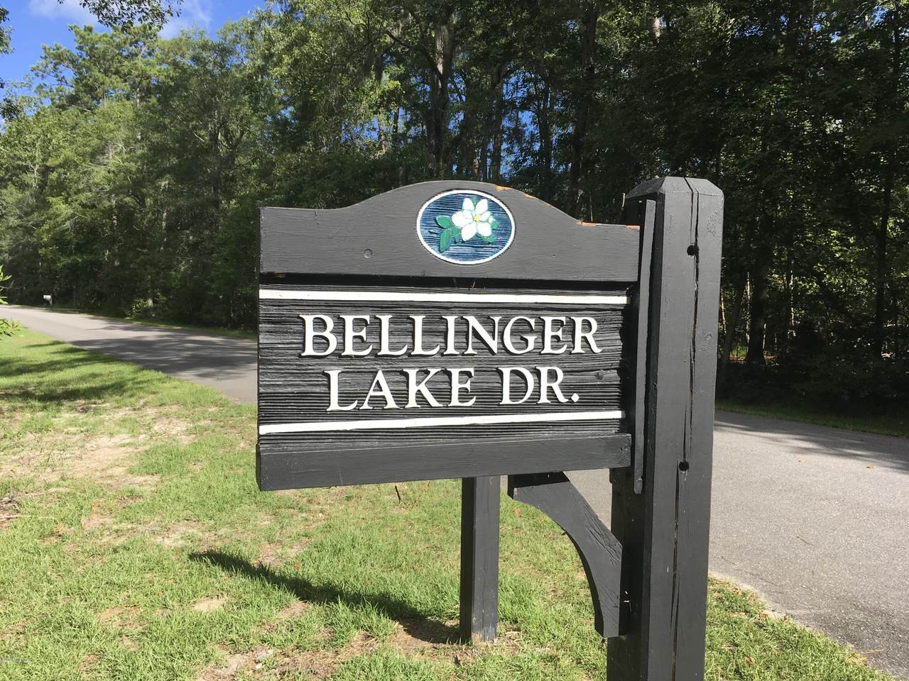 10 Bellinger Lake Drive - Photo 1
