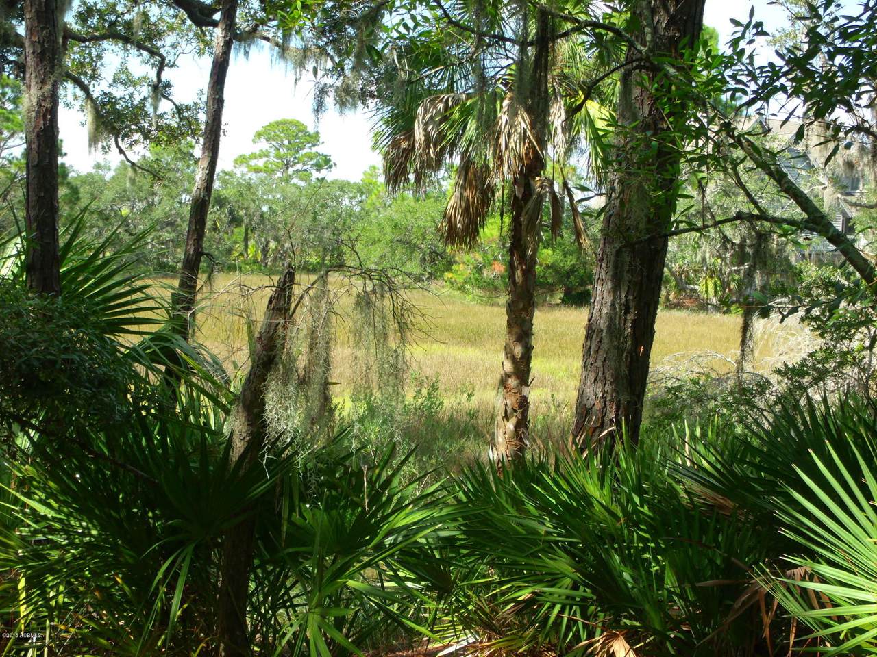 916 Stone Crab Cove - Photo 1