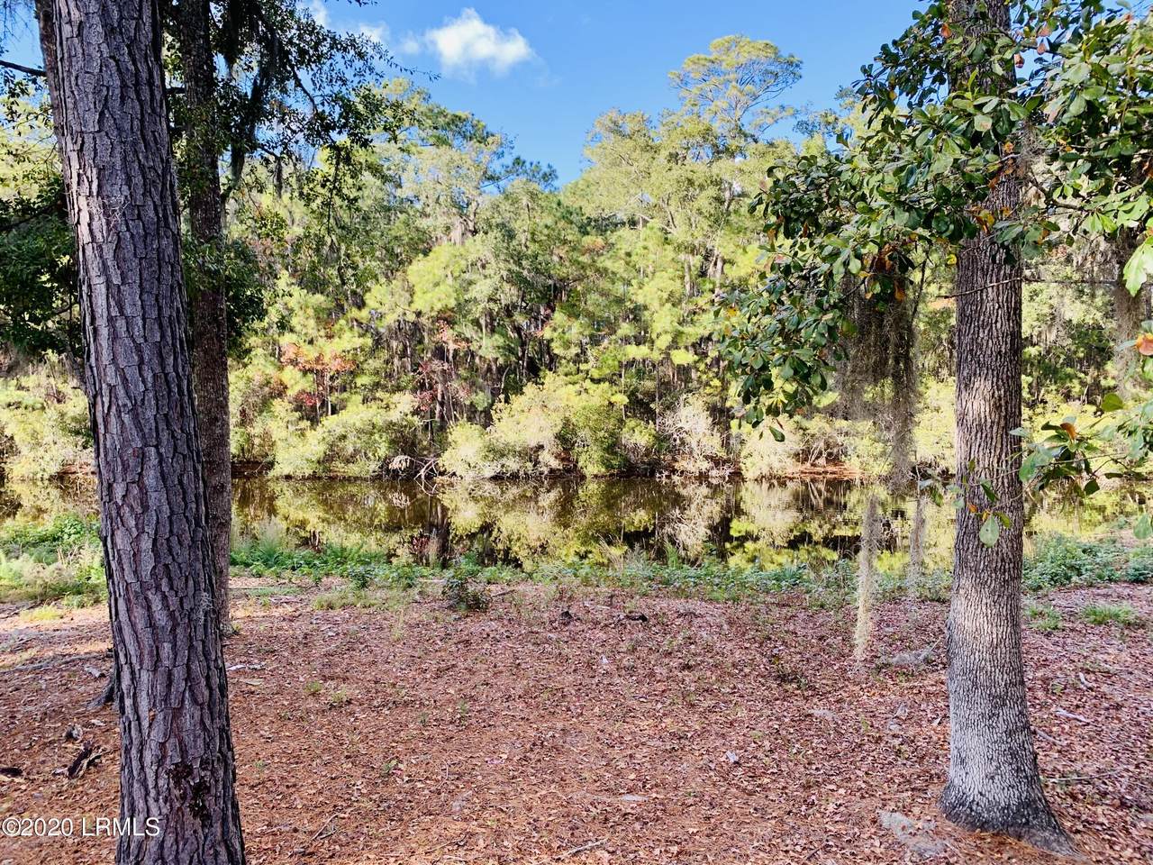 36 Canopy Lane - Photo 1