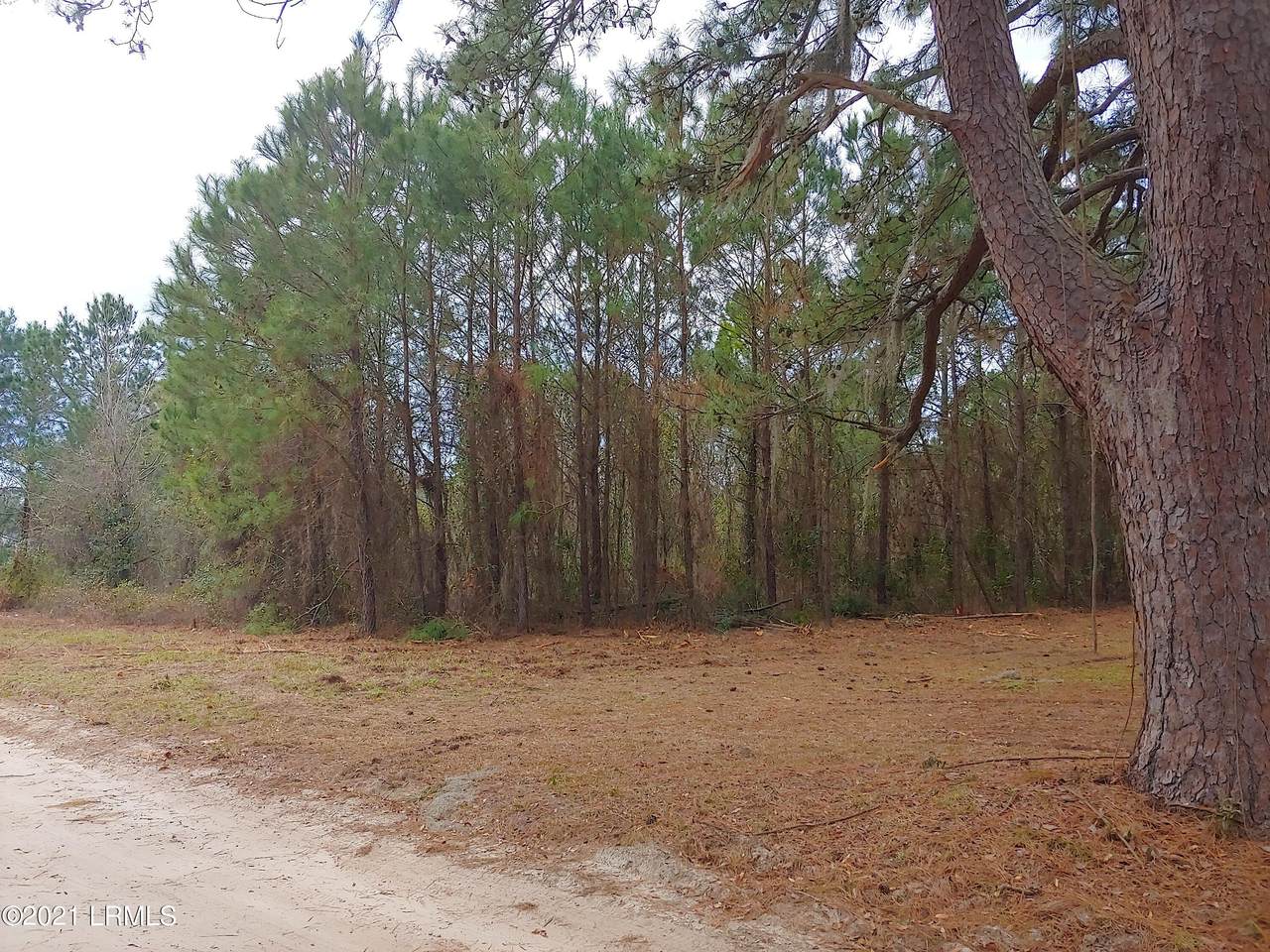 23 Capers Island Circle - Photo 1
