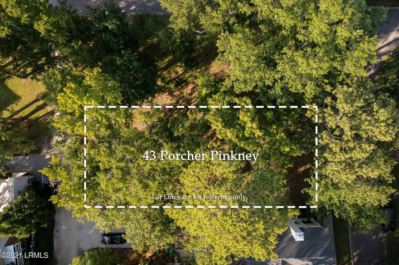 43 Porcher Pinkney - Photo 1