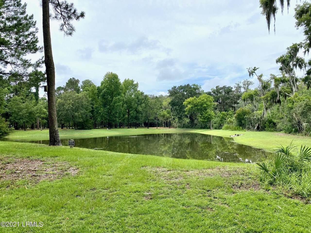 705 Distant Island Drive - Photo 1