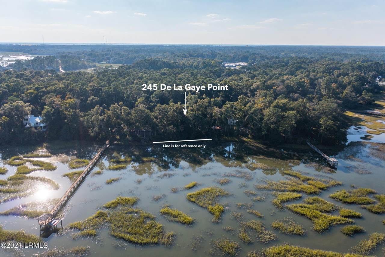 245 Dela Gaye Point - Photo 1