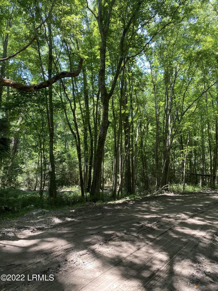 50 Still Shadow Drive - Photo 1