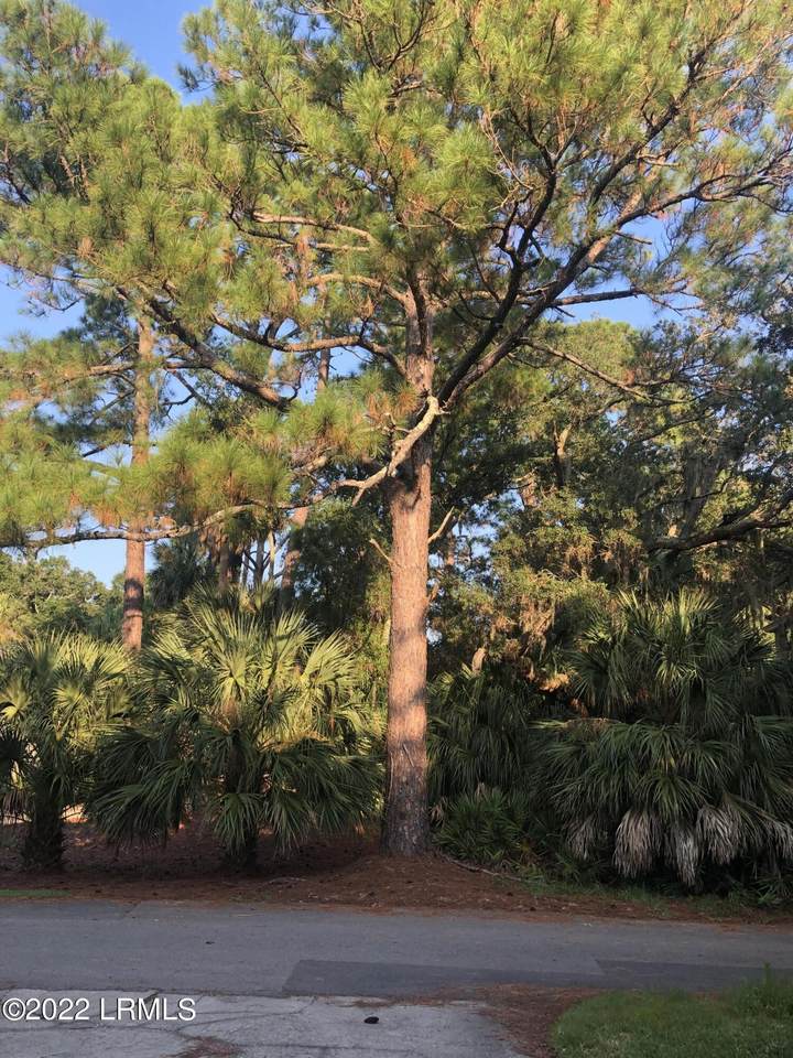 2 Fiddlers Point - Photo 1