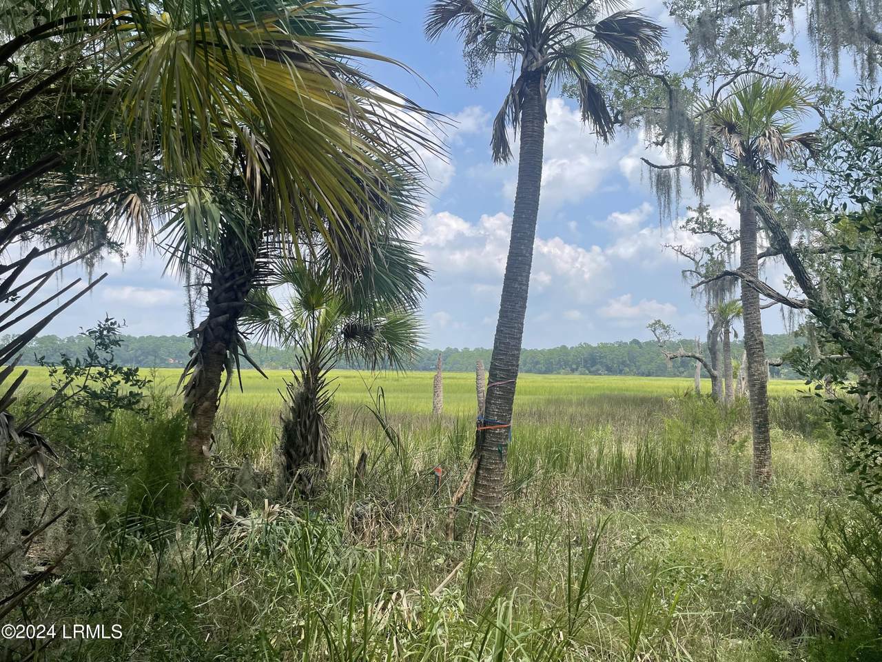 12 Woodstork Landing - Photo 1
