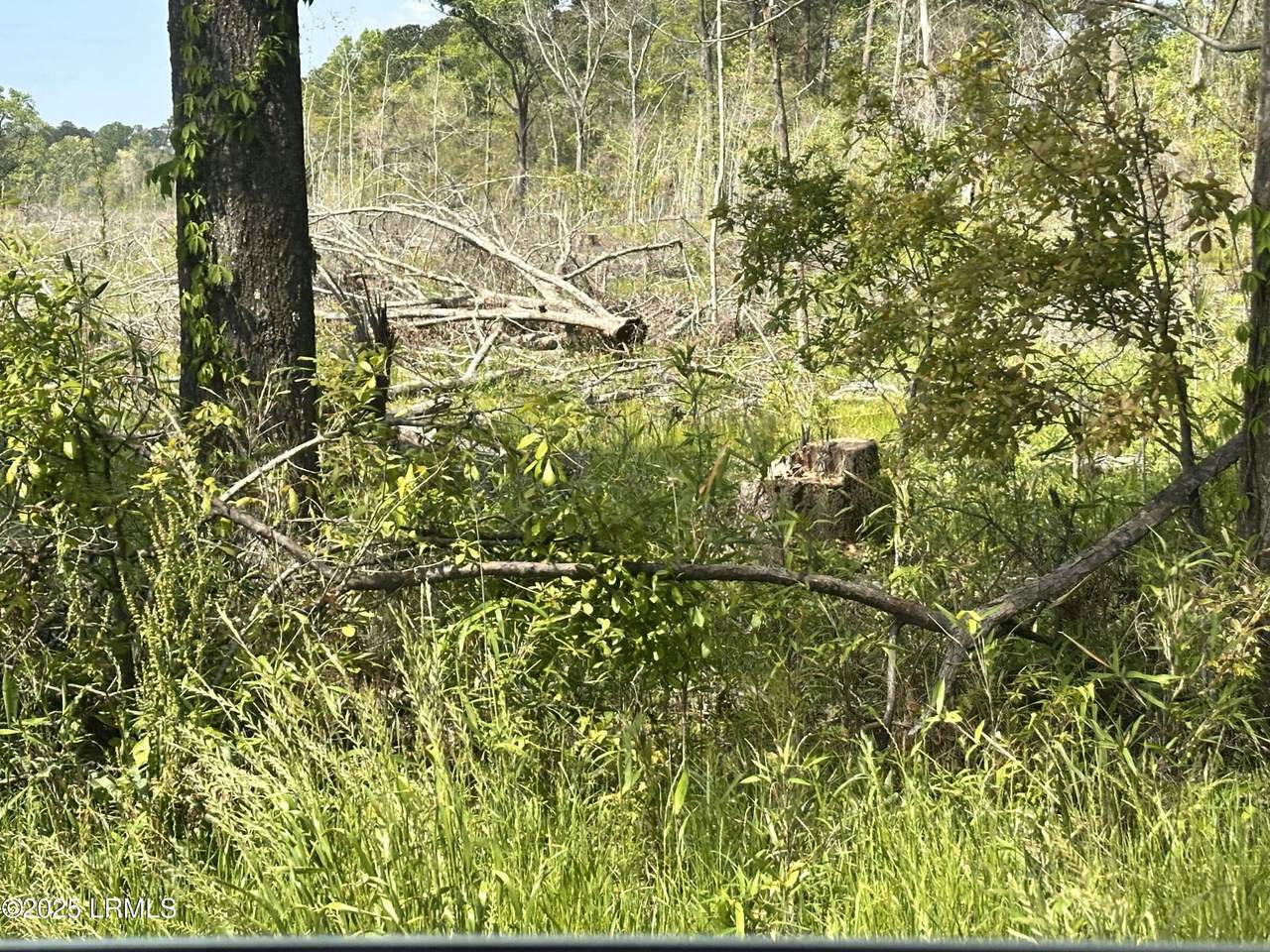 00 Lowcountry Drive - Photo 1