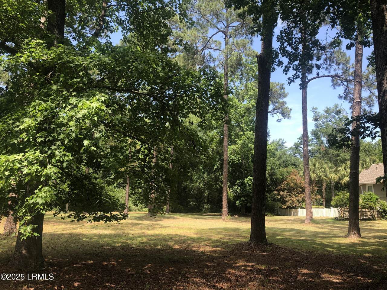 325 Distant Island Drive - Photo 1