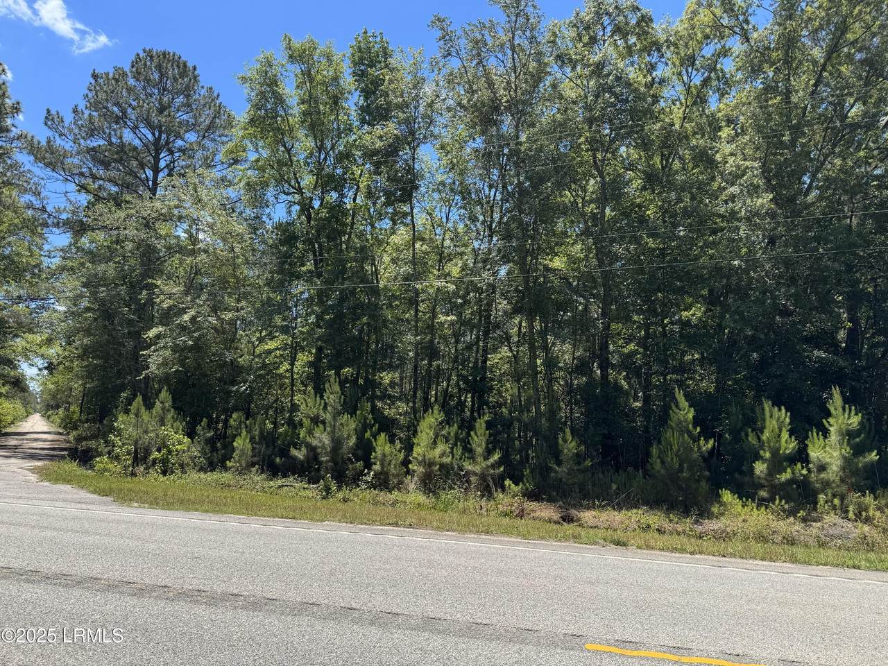Tbd Tillman Road - Photo 1