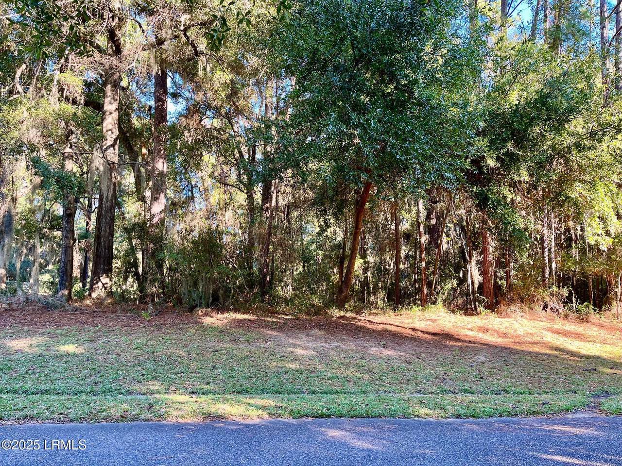 6 Shade Tree Lane - Photo 1