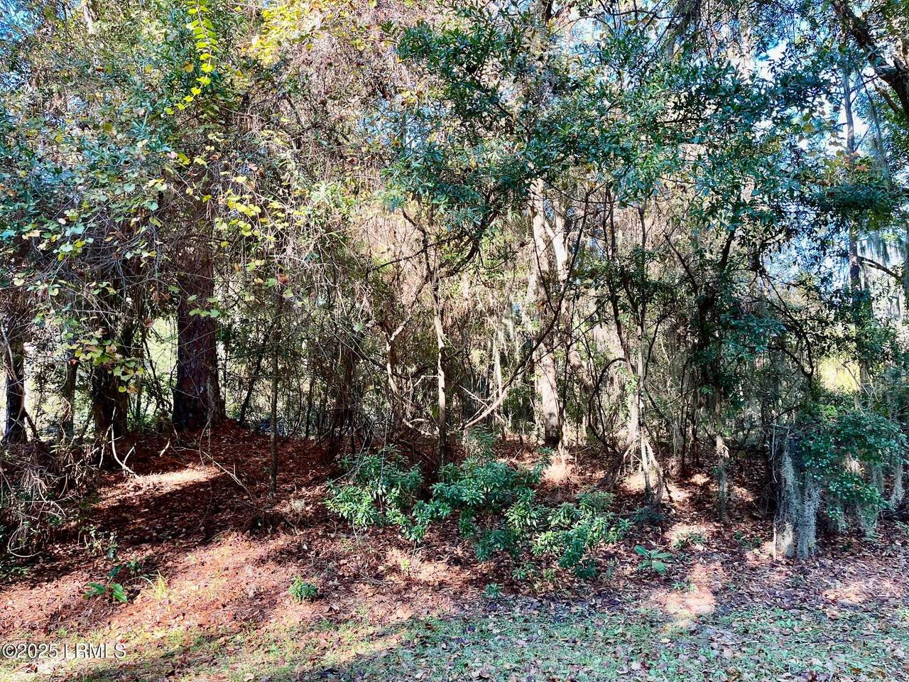 5 Shade Tree Lane - Photo 1