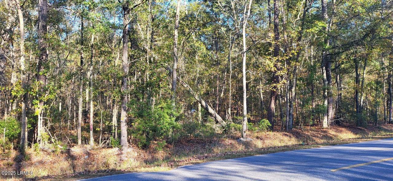 409 Wade Hampton Road - Photo 1