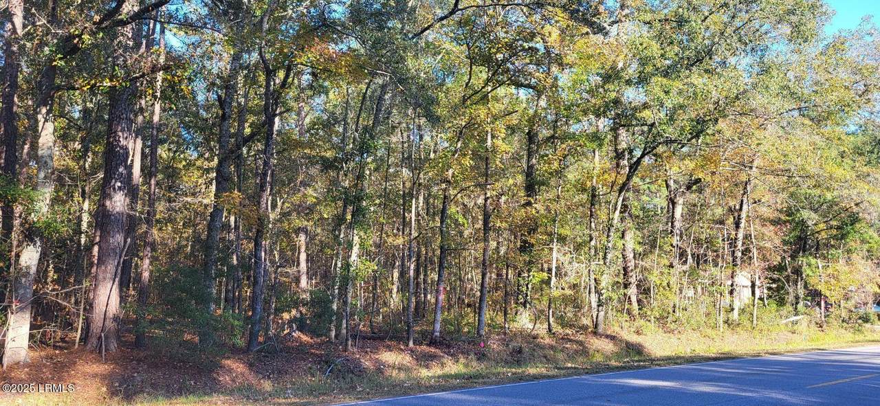407 Wade Hampton Road - Photo 1