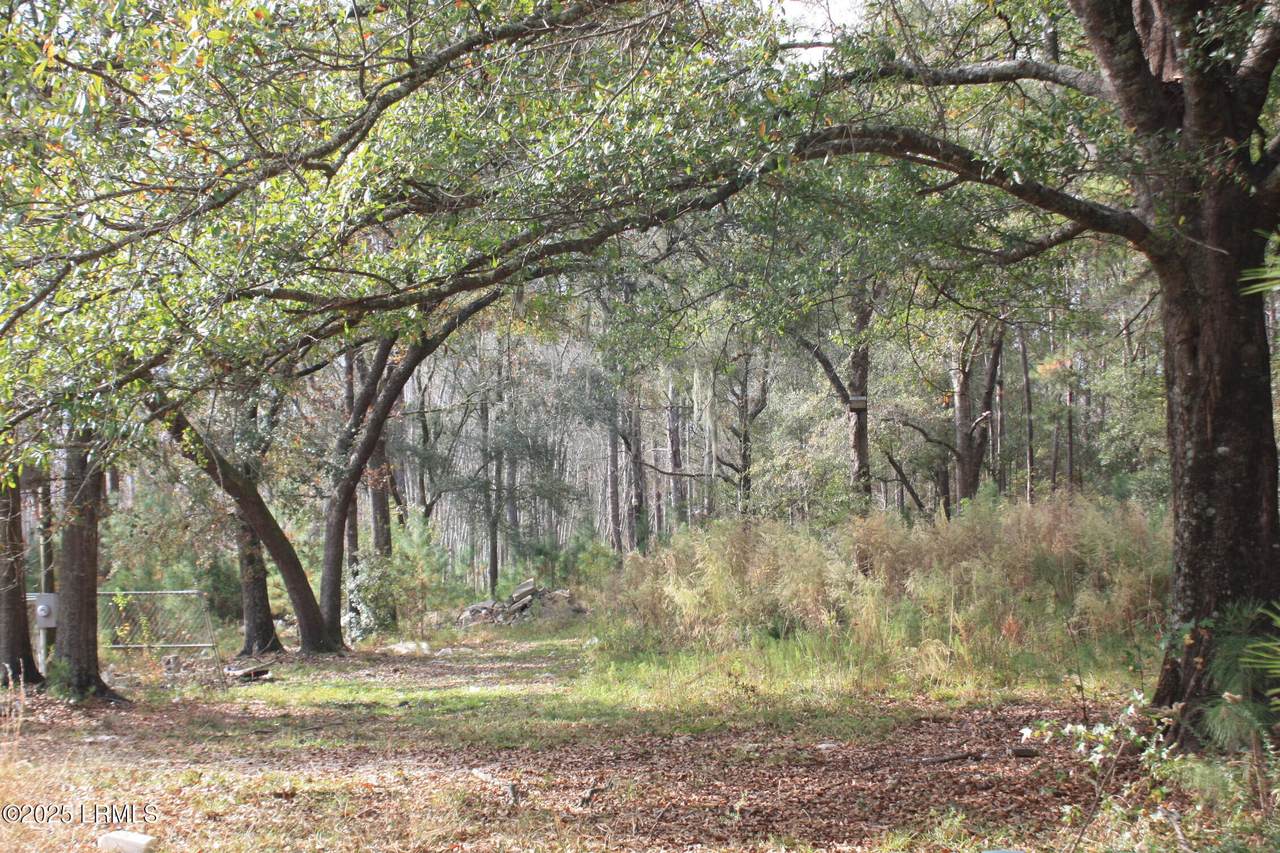 554 Shadowing Pines Road - Photo 1