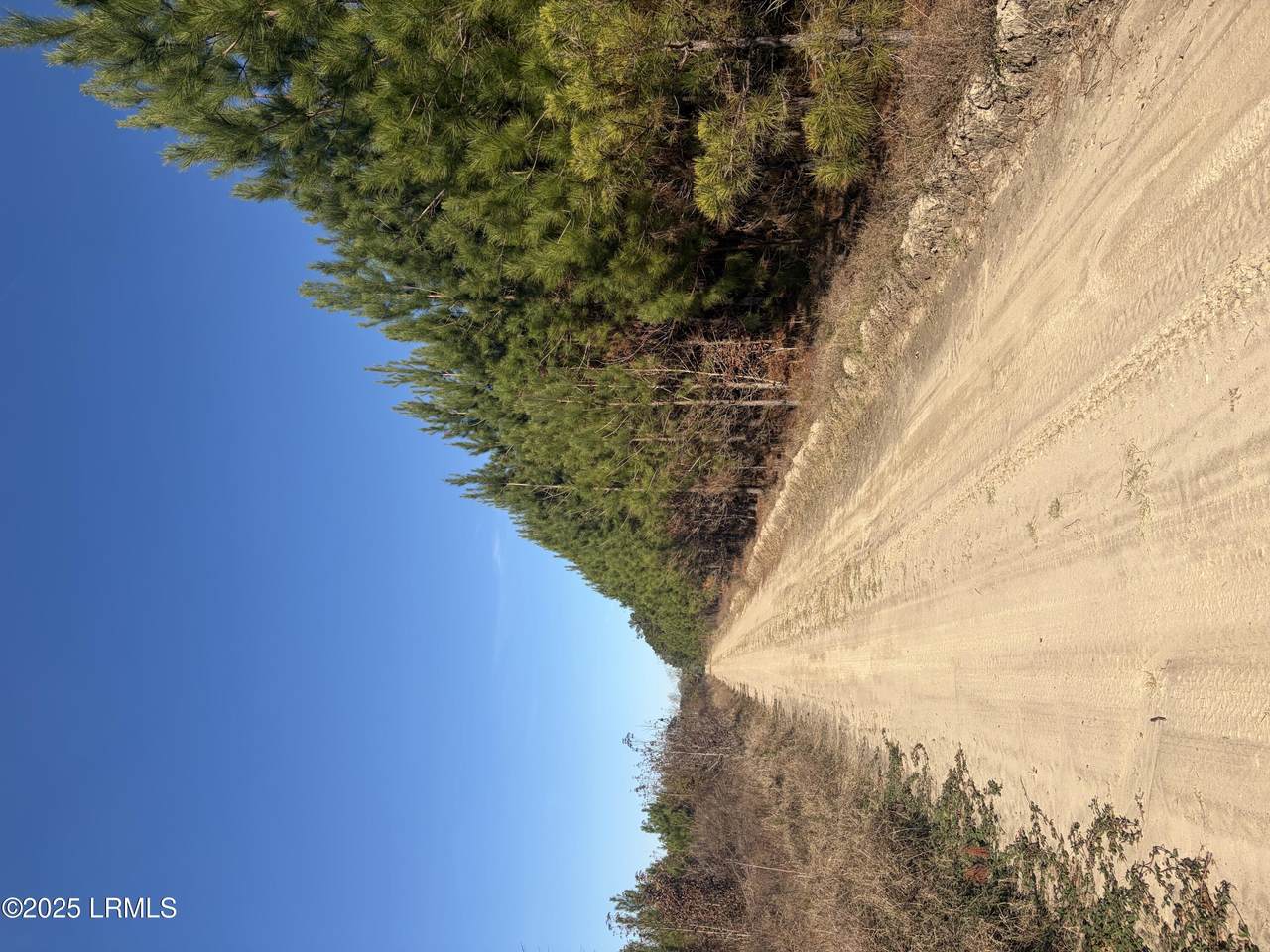 Tbd Orangeburg Road - Photo 1