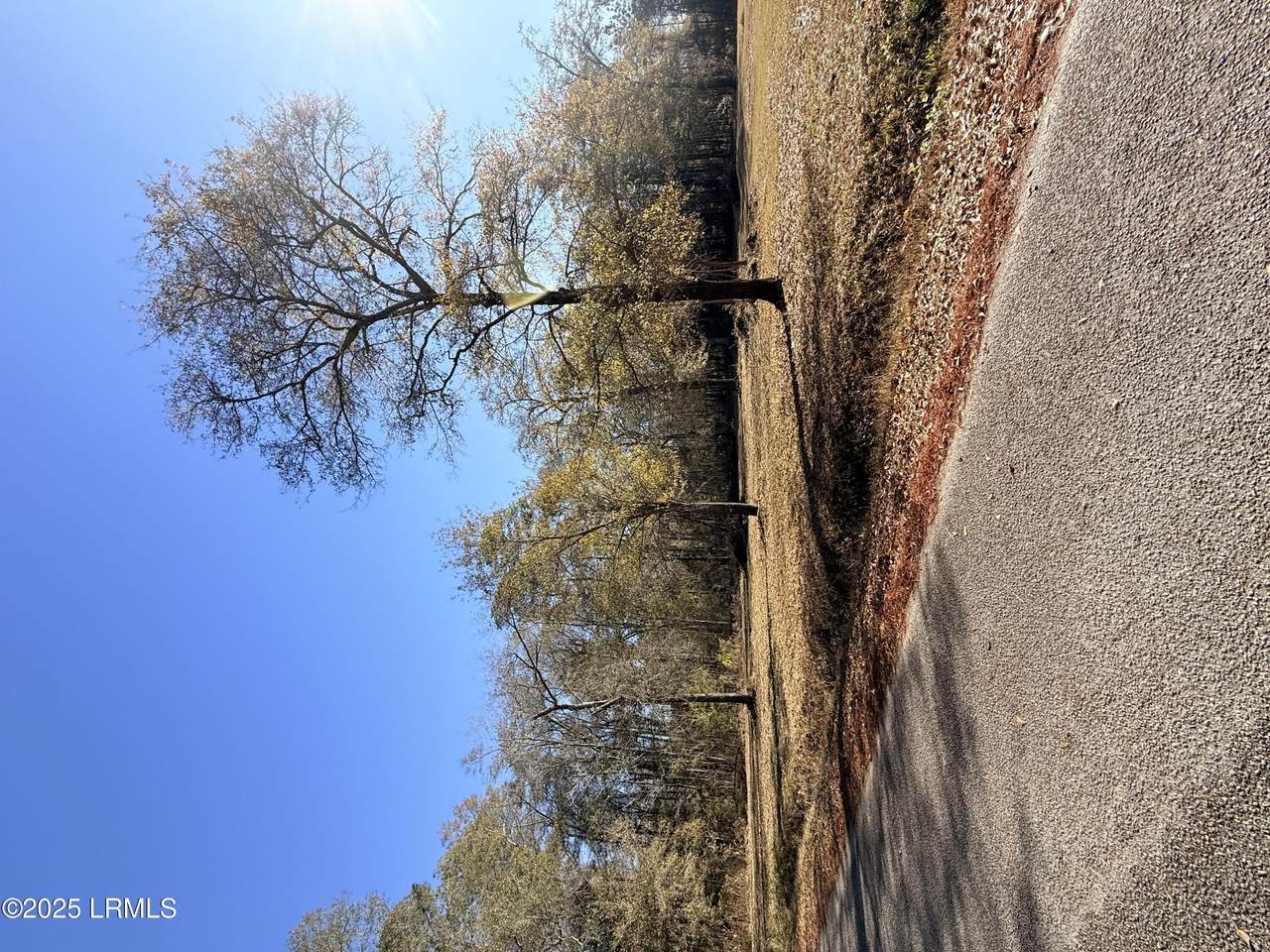 215 County Road S-25-314 - Photo 1