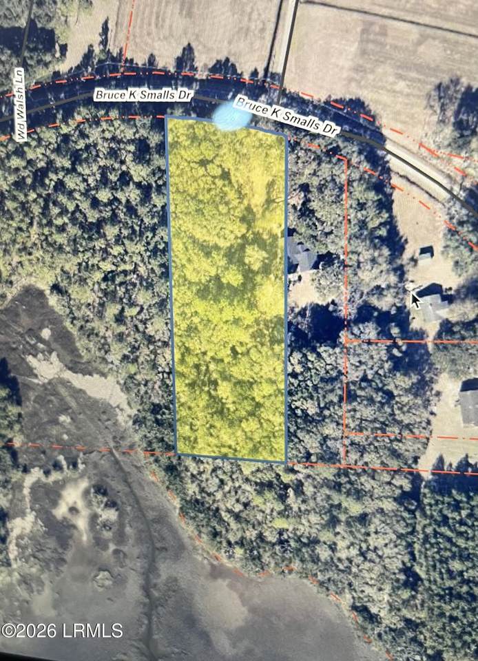 380 Bruce K Smalls Drive - Photo 1