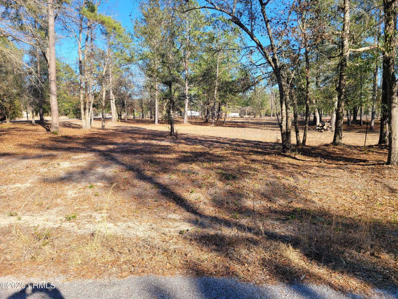 Tbd Beaver Dam Road - Photo 1