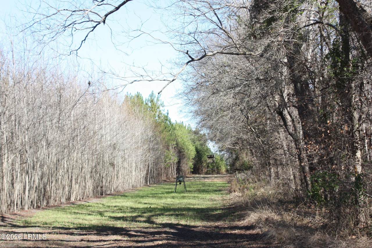 https://bt-photos.global.ssl.fastly.net/beaufortsc/1280_boomver_1_194770-2.jpg