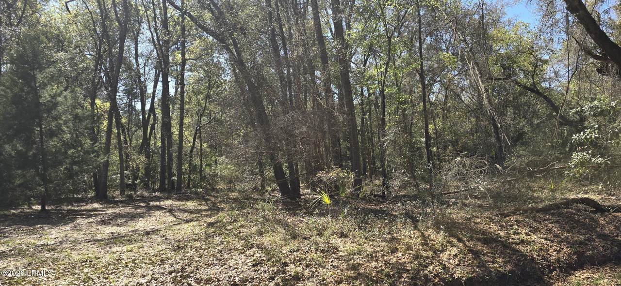 50 Toomer Road - Photo 1