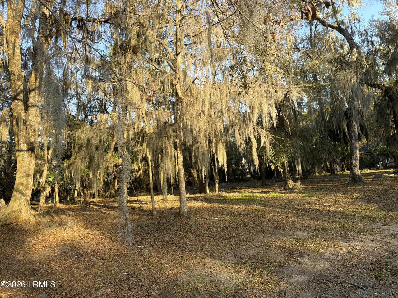 2 Woodland Ridge Circle - Photo 1