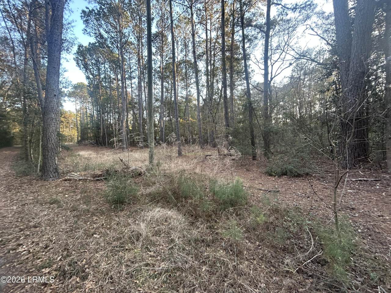 Tbd Harris Lane - Photo 1
