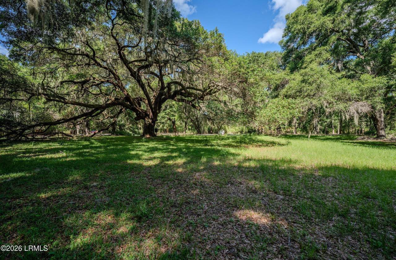 99 Meridian Road - Photo 1