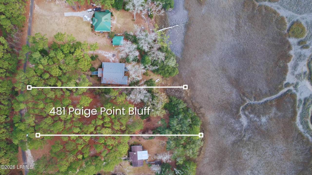 481 Paige Point Bluff - Photo 1
