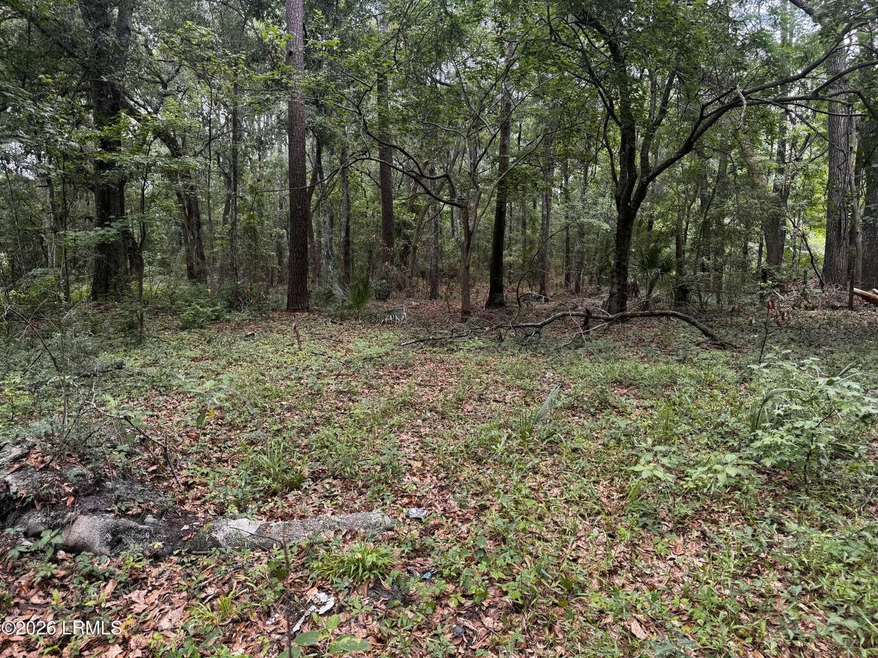 43 Pine Grove Road - Photo 1