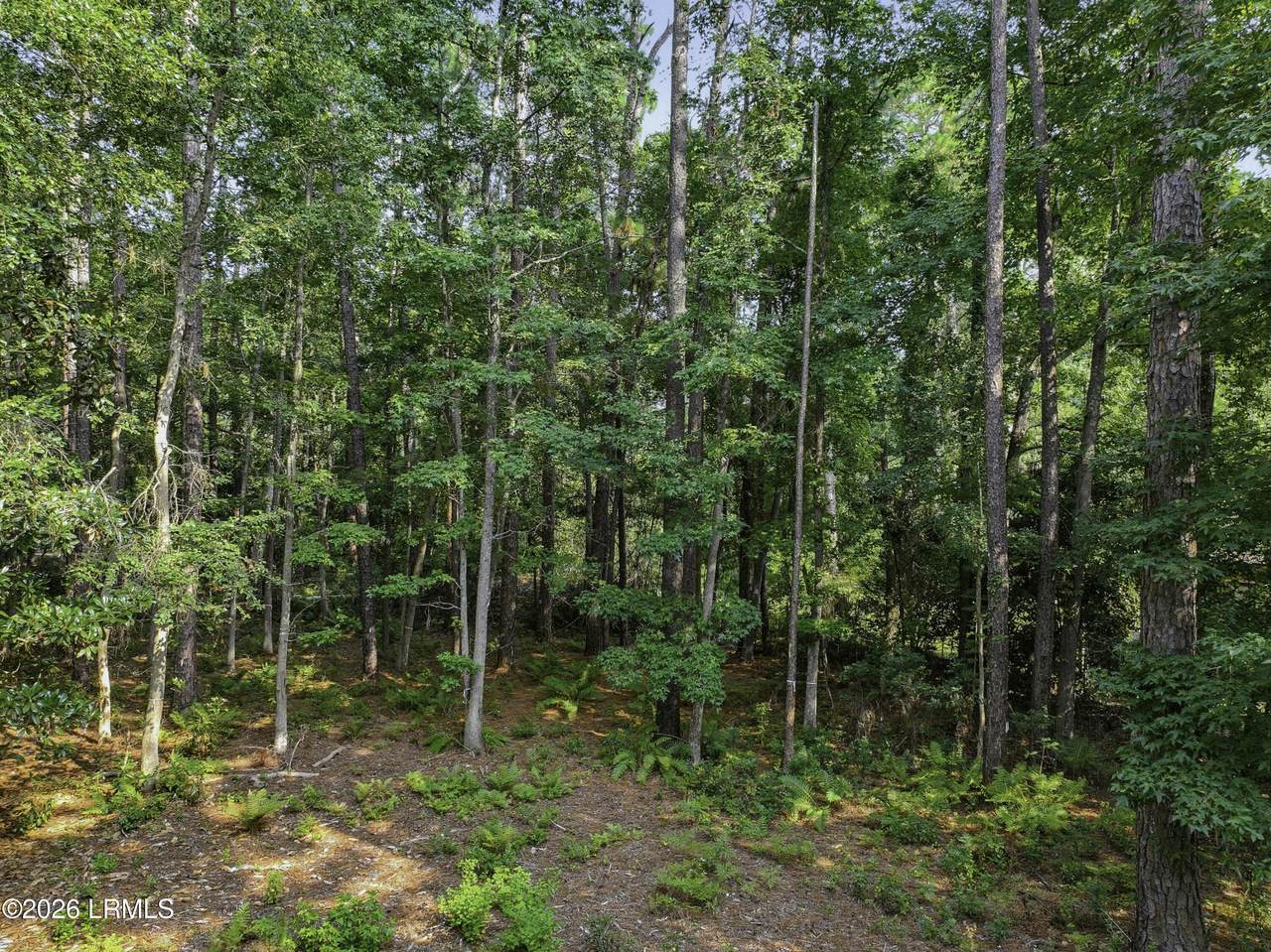 86 Wade Hampton Drive - Photo 1