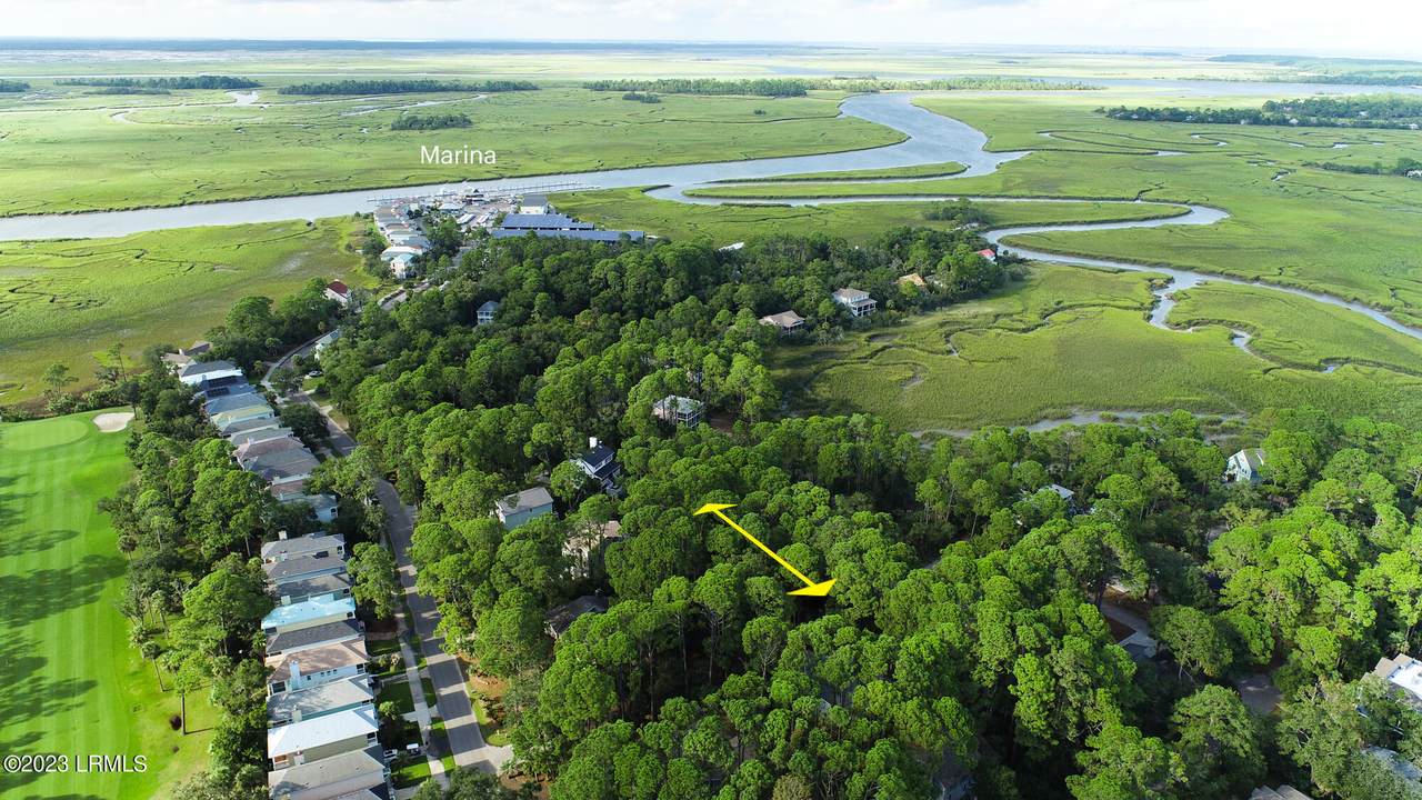 375 Yellow Tang Road - Photo 1