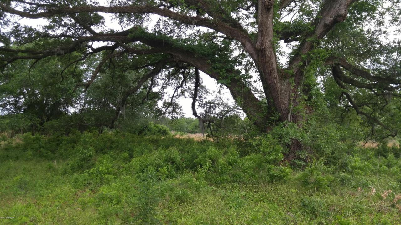 Tbd Yemassee Highway - Photo 1