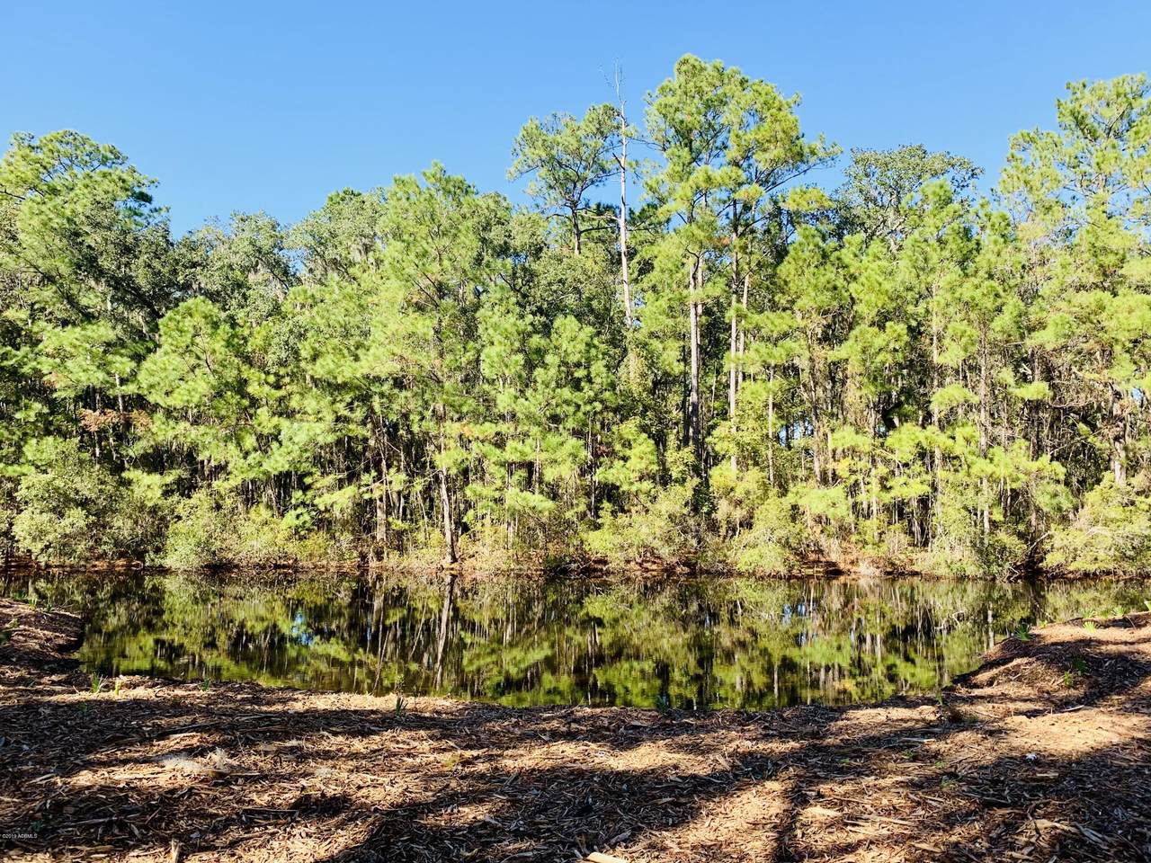 40 Canopy Lane - Photo 1