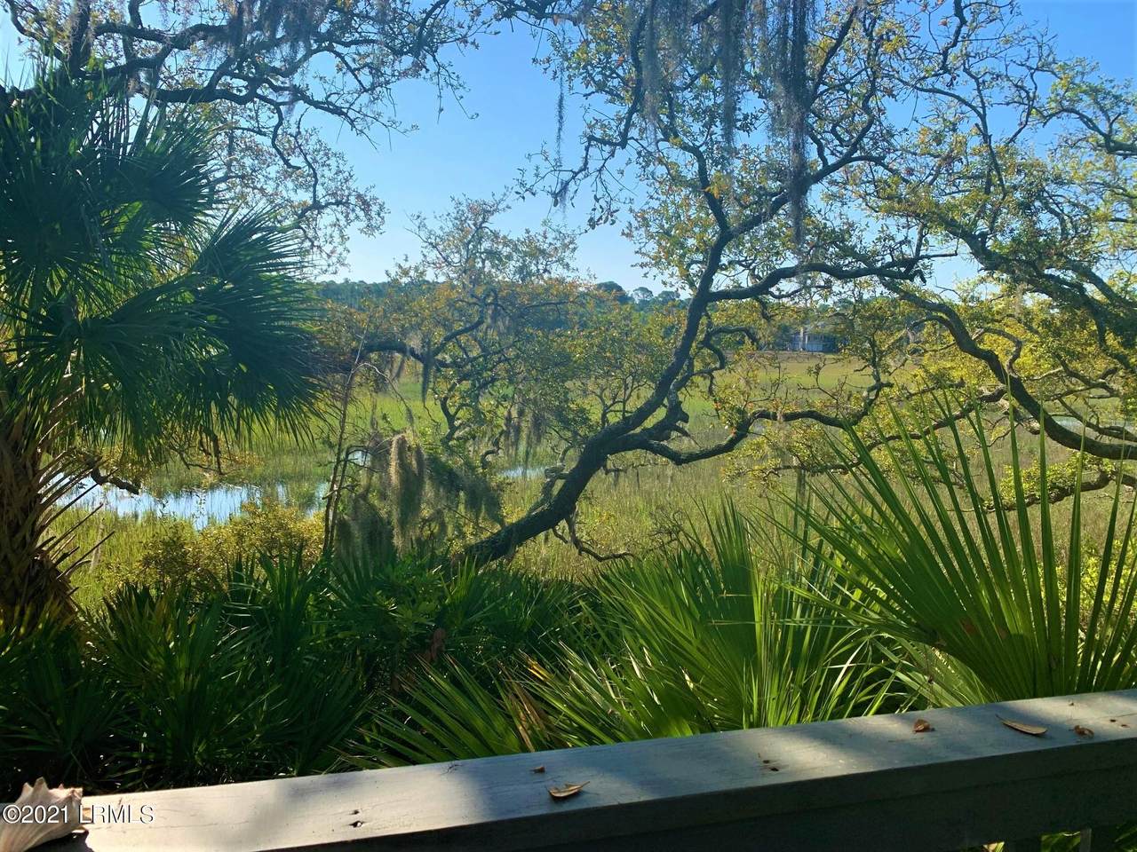 832 Marsh Dunes Road - Photo 1