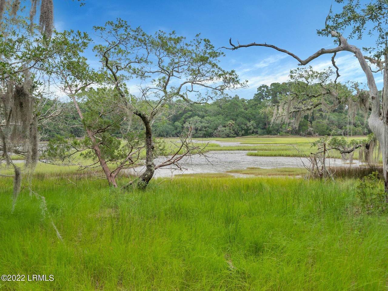 404 Islands Avenue - Photo 1