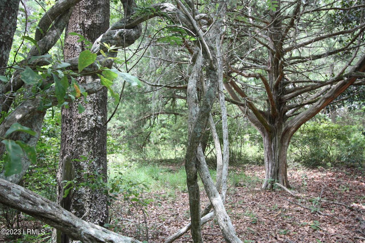 https://bt-photos.global.ssl.fastly.net/beaufortsc/1280_boomver_2_180628-2.jpg