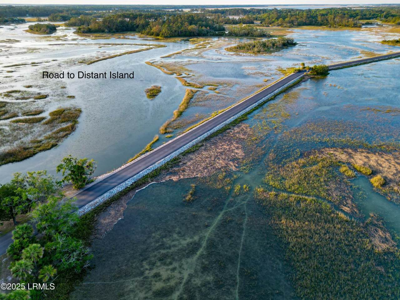 345 Distant Island Drive - Photo 1
