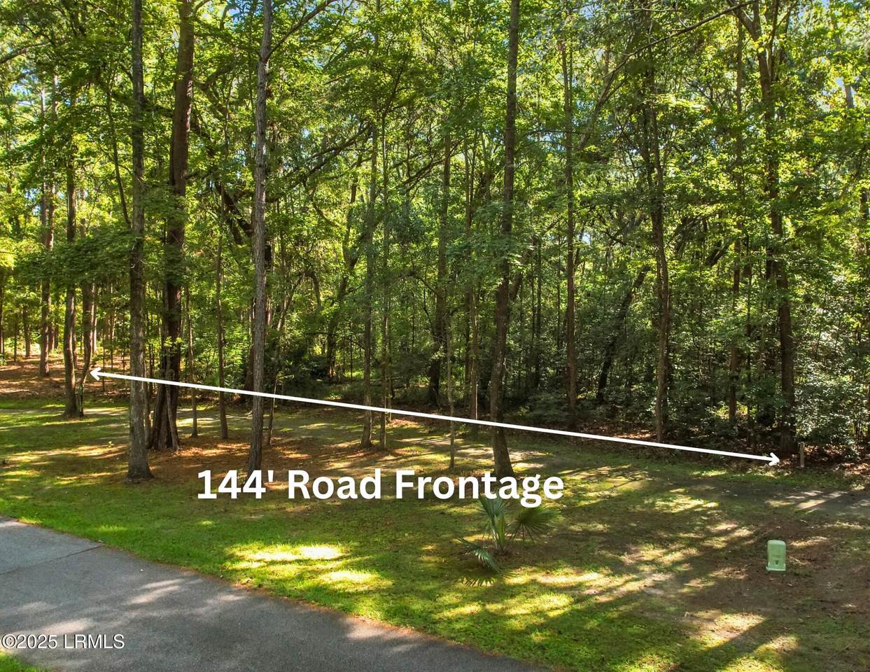 101 Barnaby Bluff - Photo 1