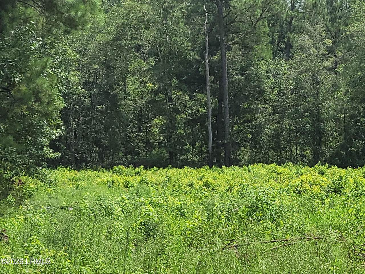 https://bt-photos.global.ssl.fastly.net/beaufortsc/1280_boomver_2_197469-2.jpg