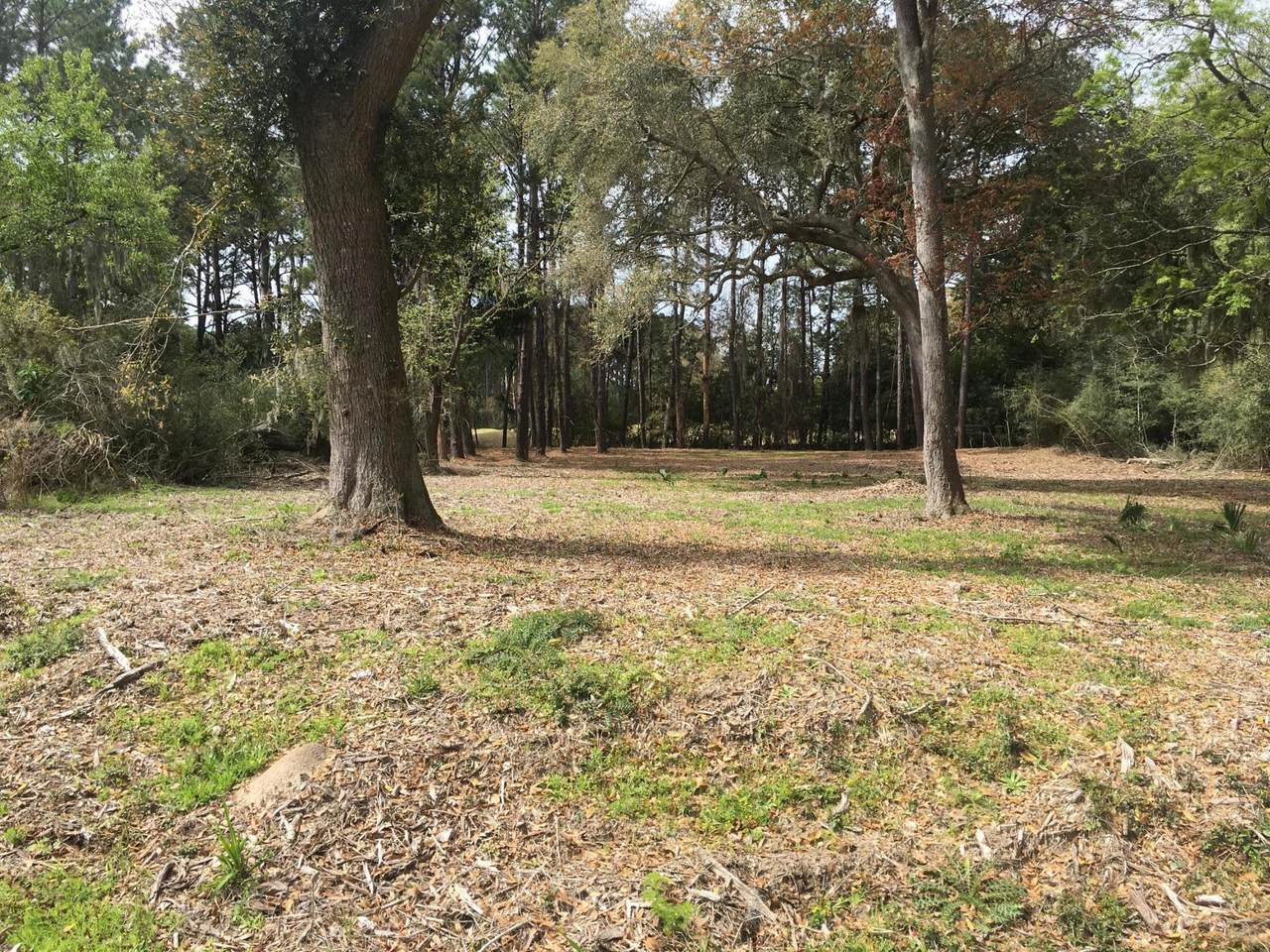 51 Dolphin Point Drive - Photo 1