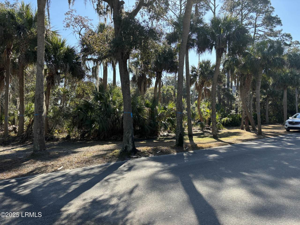 307 Deer Pointe Court - Photo 1