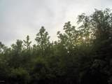 0000 Jasper Station Road - Photo 3