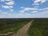 28442 Pocotaligo Road - Photo 4