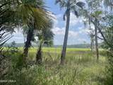12 Woodstork Landing - Photo 1